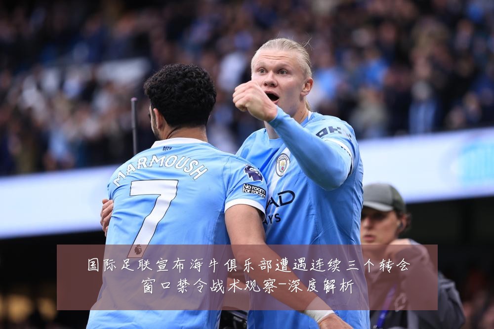 国际足联宣布海牛俱乐部遭遇连续三个转会窗口禁令战术观察-深度解析
